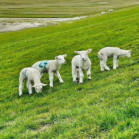 Appartamento Inselwohnung *